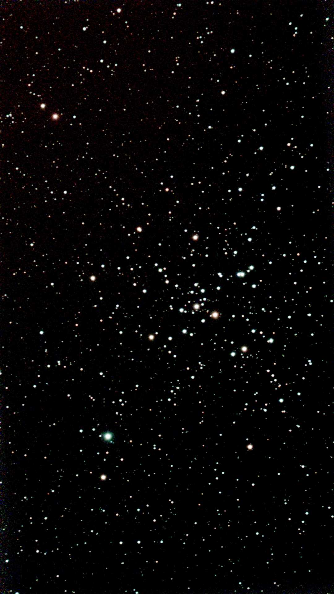 M 41.jpg